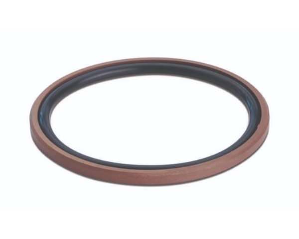 1-18272 Piston Sealing